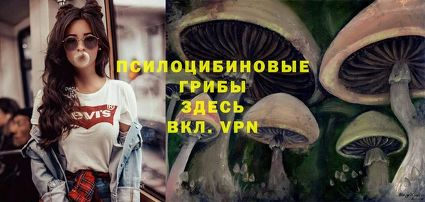 MESCALINE Козельск