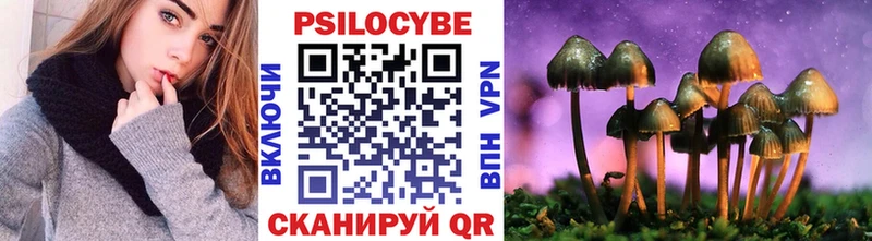 Купить закладки  Щёлкино  Псилоцибиновые грибы Psilocybe 